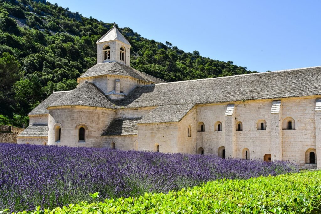 Stone buildings of Sénanque Abbey beyond rows of lavender in Provence, France.