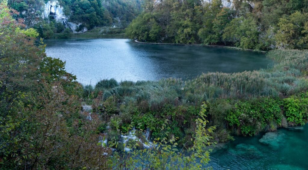 Calm turquoise lake bordered by dense green forest in Plitvice Lakes National Park, Croatia.