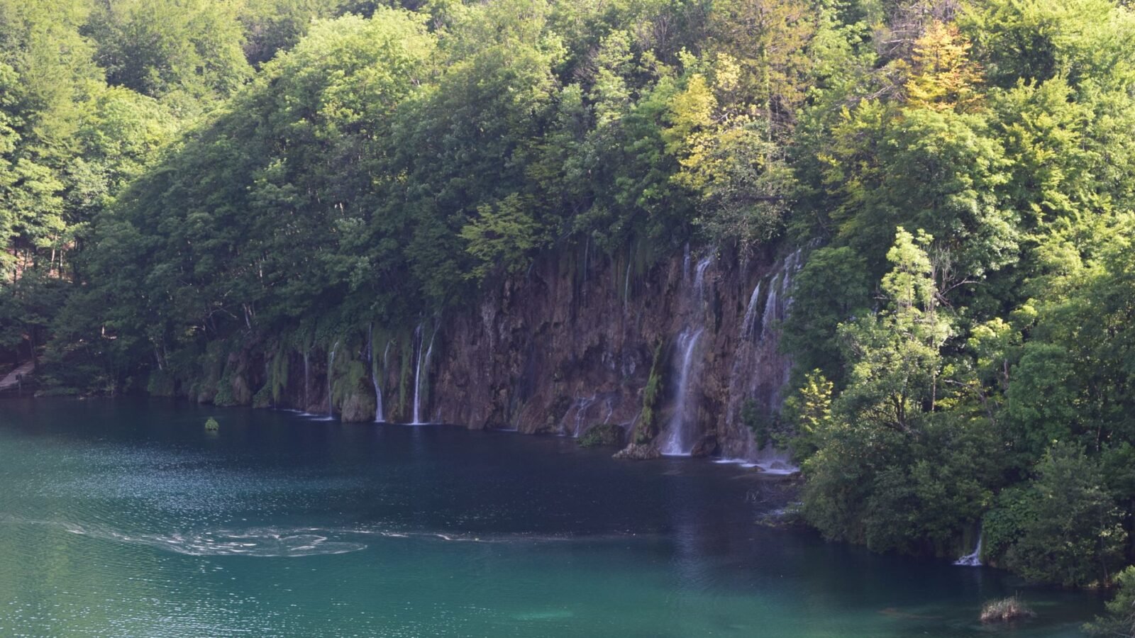 Multiple waterfalls descending through dense green vegetation into blue-green water at Plitvice Lakes, Croatia.