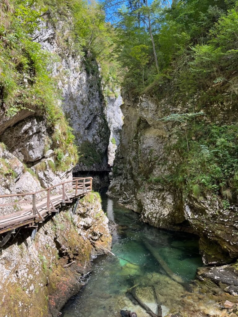 Wooden walkway following the clear Radovna River between steep forested rock walls in Vintgar Gorge, Slovenia.
