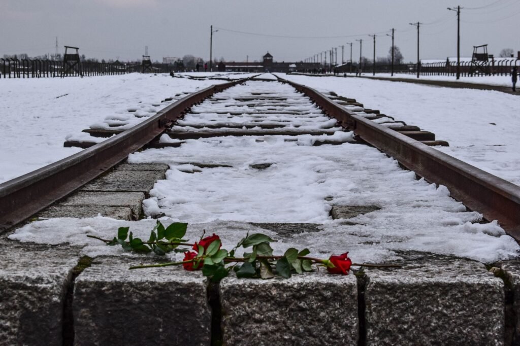 Red roses placed on snow-covered railway tracks at the Auschwitz-Birkenau Memorial in Poland.