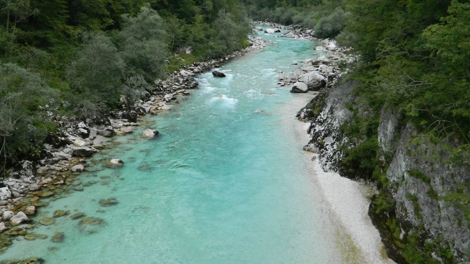 Turquoise Soča River flowing between wooded alpine banks in Slovenia.