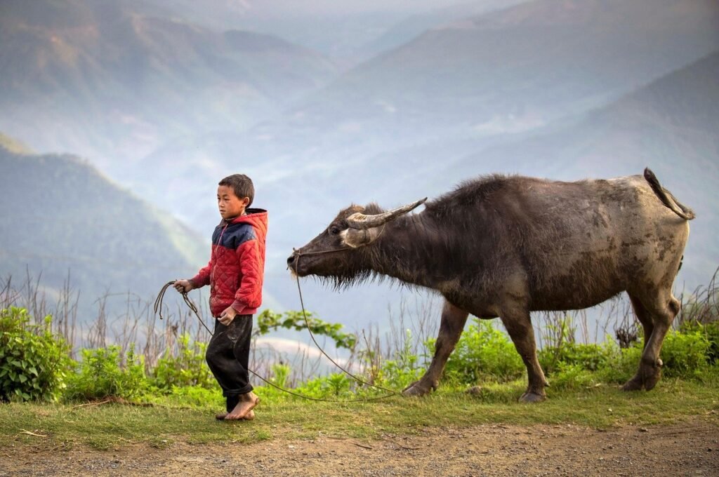 Practical travel context in Ha Giang relevant to Ha Giang Loop guide for beginners.