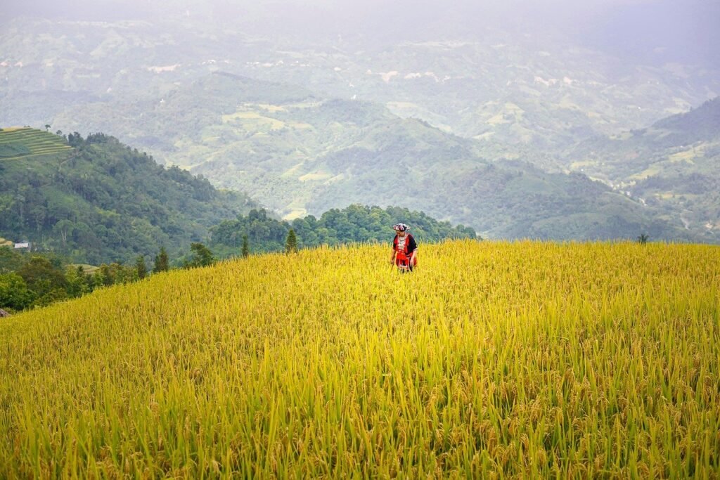 Wide contextual view for Ha Giang Loop Guide for Beginners: What to Know Before You Ride.