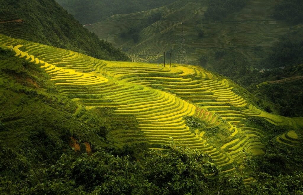 Wide contextual view for Sapa Trekking Guide for Beginners: What to Know Before You Go.