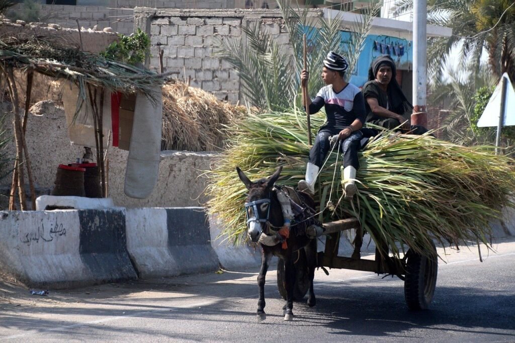 Practical travel context in Egypt relevant to is Egypt safe to travel.