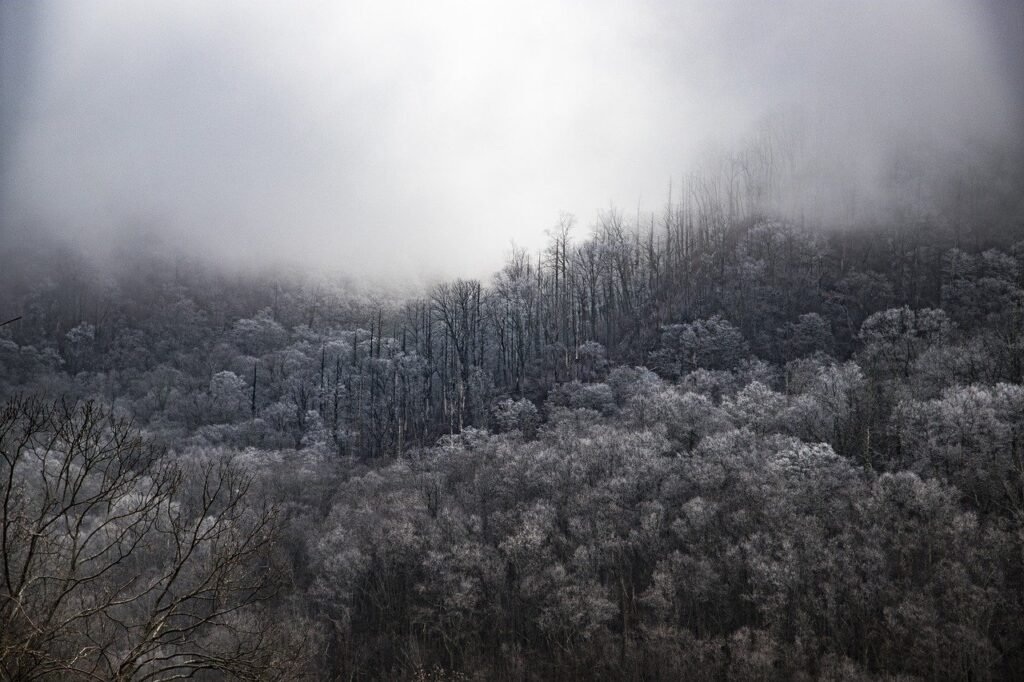 Wide contextual view for Great Smoky Mountains: Best Trails for Beginners.